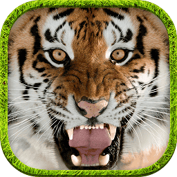 终极银河yh988模拟器官方版下载-终极模拟银河yh988游戏手机版下载 v1.5 安卓版