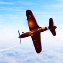 1099vip威尼斯下载手机版下载-1099vip威尼斯下载二战游戏下载 v1.2 安卓版